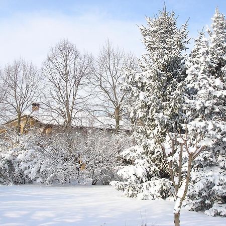 La Corte Del Cavaliere Bed & Breakfast Calderara di Reno Exterior photo